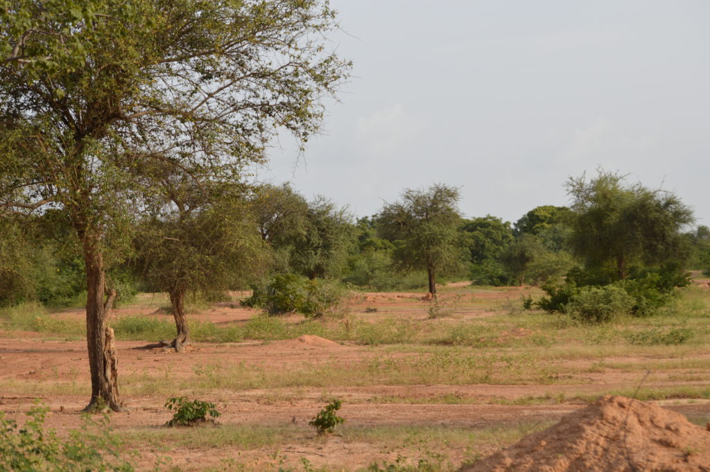 Terrain à Gonsé